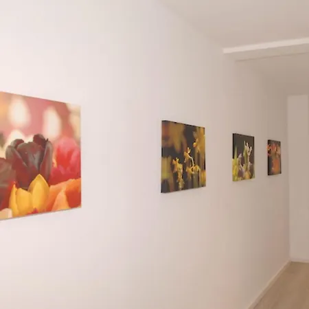House Flora, Golden Knoepke Lejlighed Juist